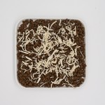 猫粮厂家-高品质优质可定制ODM/OEM宠物食品