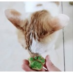 冻干宠物零食厂家-生食宠物零食100%猫爪形OEM鸡肉草莓