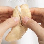 猫罐头厂家-猫幼猫全价湿粮水煮鸡胸肉丝