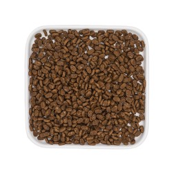 猫粮厂家-高品质优质可定制ODM/OEM宠物食品