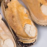 冻干宠物食品厂家-私标新西兰绿唇贻贝天然