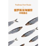 冻干鲱鱼厂家-热销美味500g小鱼猫零食狗粮