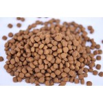 宠物食品厂家-批发大包装天然幼猫粮鸡肉鱼不同口味