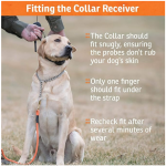 狗训练项圈厂家-品牌现场训练师遥控防水可浸没可充电