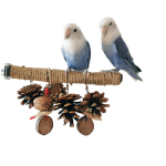 鸟玩具厂家-工厂价大鹦鹉啃咬彩色木块玩耍