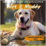 狗鞋厂家-轻量网眼透气反光防水 rugged防滑底