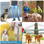 狗牵引绳厂家-重型双柄加垫交通柄6英尺长中大犬