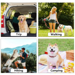 狗废物袋厂家-60卷900只装分配器牵引绳夹无味加厚