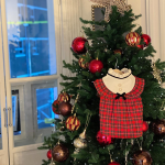 宠物裙厂家-新年圣诞英国皇家风格红色格子公主凯特