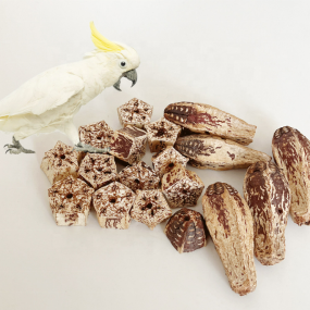 Parrot Toy Supplier - Factory Price Large Bird Chewing Natural Wooden Blocks Tearing Chew
