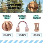 小宠物玩具厂家-几内亚猪龙猫仓鼠咬胶玩具兔鼠