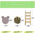 小宠物配件厂家-工厂价几内亚猪兔子咬胶棍木球