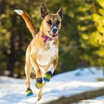 狗鞋厂家-中国工厂价冬季牵引绝缘爪套狗用