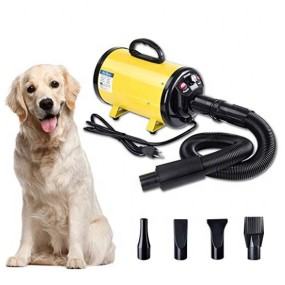 Pet Grooming Dryer Manufacturer - Factory Price Hair Force Dryer Quick Blower 4 Nozzles