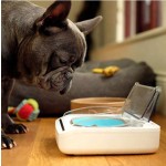 Pet Bowl Supplier - Chinese Factory Price Sureflap Surefeed Sealed White Bowl