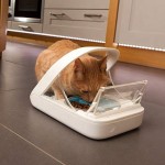 Automatic Pet Feeder Factory - Microchip Feeder Suitable for Wet Dry Food Value Bundle