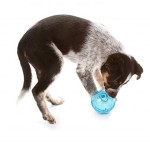 互动狗玩具厂家-中国廉价批发智商零食球互动玩具