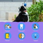 狗智商玩具厂家-趣味互动食物分配智商零食球无毒天然