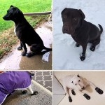 防水狗鞋厂家-中大犬反光 rugged防滑底宠物