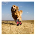 防水狗靴厂家-宠物网眼鞋透气爪保护器鞋底