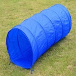 狗敏捷课程厂家-障碍后院竞技训练课程套装蓝黄