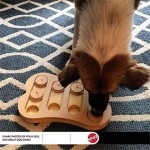 宠物益智玩具厂家-互动寻零食洗牌骨玩具提高狗智商