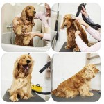 狗吹风机厂家-3.8马力2800W专业美容吹风机速度可调带加热