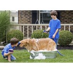 狗浴刷厂家-按摩刷优质美容工具洗发按摩柔软