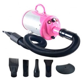Pet Hair Dryer Factory - Factory Price Wholesale Stepless Adjustable Speed Force Dryer