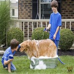 宠物美容套装厂家-中国批发套装配对页粘毛滚筒手刷