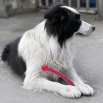 化妆品瓶供应商-批发0.5-1升透明塑料