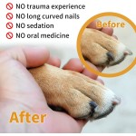 宠物抓板厂家-OEM ODM竹制抓板指甲锉板玩具