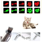 宠物激光笔厂家-互动USB充电5模式LED灯