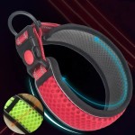 宠物项圈厂家-3M反光条纹透气网眼尼龙织带