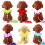 狗背带套装厂家-舒适透气可调天使翅膀牵引绳套装