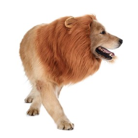 Pet Costume Manufacturer - Hot Sale Festival Party Lion Mane Wig for Dogs