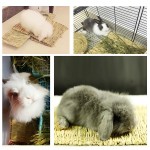 兔子咬胶厂家-手工蒂莫西干草垫小动物用