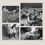 兔子咬胶厂家-手工蒂莫西干草垫小动物用