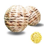 小动物玩具厂家-定制水葫芦趣味活动草球