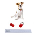 宠物ID标签厂家-塑料防丢狗ID标签