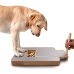 宠物抓板厂家-OEM ODM竹制抓板指甲锉板玩具