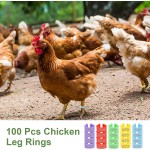 蜥蜴背带厂家-可调皮革牵引带万圣节南瓜帽套装