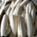 墨鱼骨厂家-高品质干燥墨鱼骨鸟类用