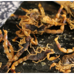 干蝎子厂家-天然全蝎黑色干蝎子草药香料用