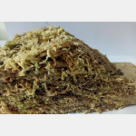 泥炭土垫厂家-顶级高压缩泥炭藓垫花盆衬垫