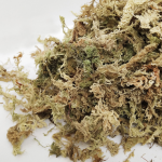 干燥苔藓厂家-150克家用包装泥炭藓泥炭土