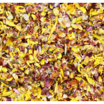 婚礼彩纸厂家-工厂供应干燥蜡菊花瓣