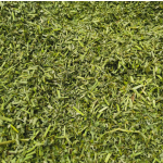 猫薄荷叶厂家-100%有机新鲜碎猫薄荷叶干零食幼猫用