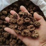 木天蓼果厂家-工厂供应干燥木天蓼果木天蓼猫用