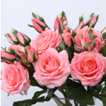 人造玫瑰厂家-高品质真触感保湿人造玫瑰花